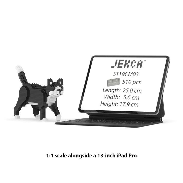 Gatto Cat Tuxedo Jekca MINI 01S
