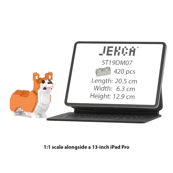 Welsh Corgi Jekca MINI 01S