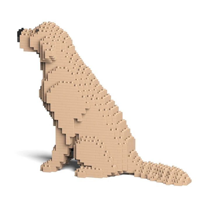 Cane Golden Retriever seduto Jekca