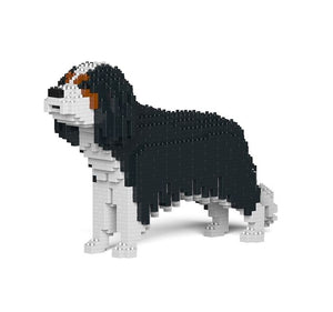 Cane Cavalier King charles spaniel Jekca Gioco costruzione Jekca