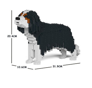 Cane Cavalier King charles spaniel Jekca Gioco costruzione Jekca